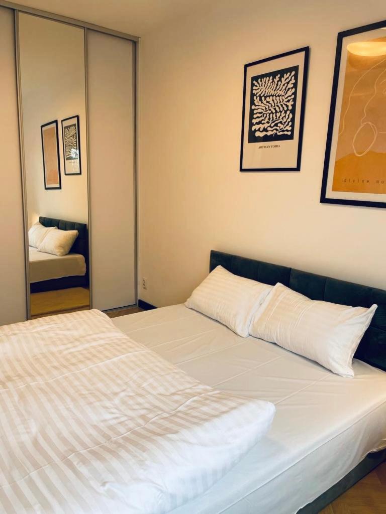 Drewnowska 77 Prime Apartment 罗兹 外观 照片